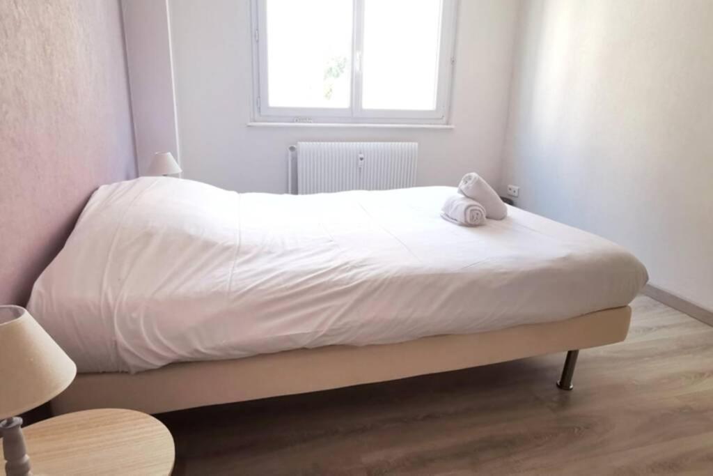 Appartement F2 Cosy Proche Centre Strasbourg Eksteriør billede